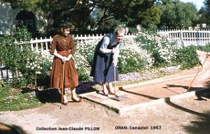 CANASTEL-1956 2